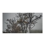 Nature s Resilience: Tierra del Fuego Forest, Argentina Satin Wrap 35  x 70  Front