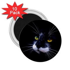 Face Black Cat 2 25  Magnets (10 Pack)  by Ket1n9