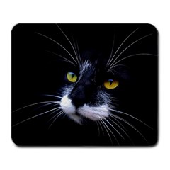 Face Black Cat Large Mousepad by Ket1n9