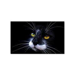 Face Black Cat Sticker Rectangular (100 Pack) by Ket1n9