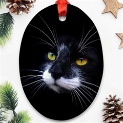 Face Black Cat Oval Ornament (two Sides) by Ket1n9