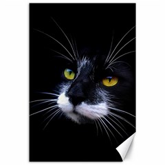 Face Black Cat Canvas 24  X 36  by Ket1n9