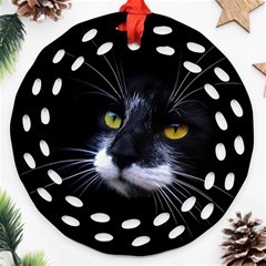 Face Black Cat Ornament (round Filigree) by Ket1n9