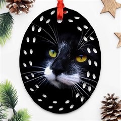 Face Black Cat Ornament (oval Filigree) by Ket1n9