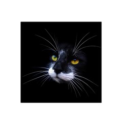 Face Black Cat Satin Bandana Scarf 22  X 22  by Ket1n9