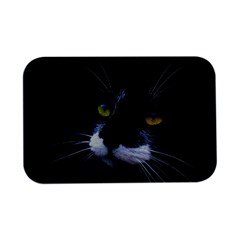 Face Black Cat Open Lid Metal Box (silver)   by Ket1n9