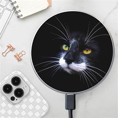 Face Black Cat Wireless Fast Charger(white) by Ket1n9