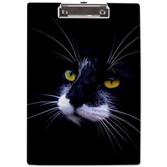 Face Black Cat A4 Acrylic Clipboard by Ket1n9