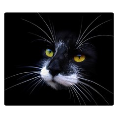 Face Black Cat Premium Plush Fleece Blanket (small) by Ket1n9