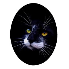 Face Black Cat Oval Glass Fridge Magnet (4 Pack) by Ket1n9