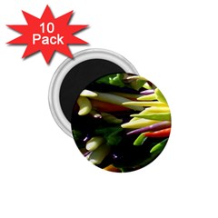 Bright Peppers 1 75  Magnets (10 Pack)  by Ket1n9