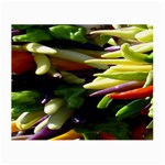 Bright Peppers Small Glasses Cloth Front