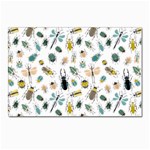 Insect Animal Pattern Postcard 4 x 6  (Pkg of 10) Front