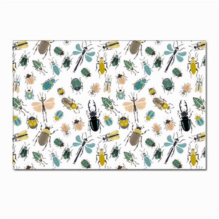 Insect Animal Pattern Postcard 4 x 6  (Pkg of 10)