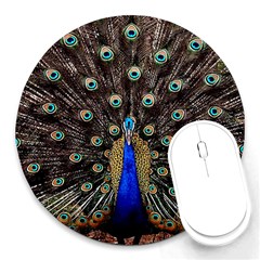 Peacock Round Mousepad by Ket1n9