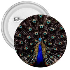 Peacock 3  Buttons by Ket1n9