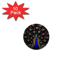 Peacock 1  Mini Buttons (10 Pack)  by Ket1n9