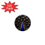 Peacock 1  Mini Magnets (100 pack)  Front