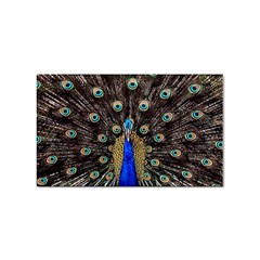 Peacock Sticker Rectangular (100 Pack) by Ket1n9