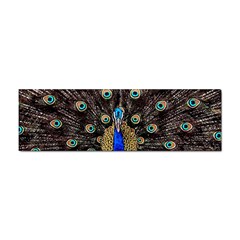 Peacock Sticker Bumper (100 Pack) by Ket1n9