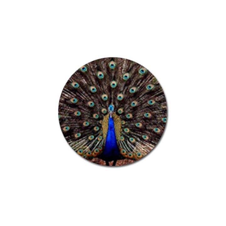 Peacock Golf Ball Marker (4 pack)