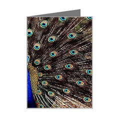 Peacock Mini Greeting Card by Ket1n9