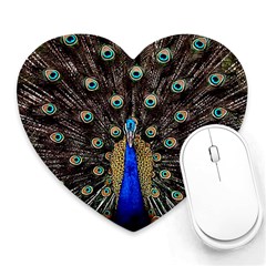 Peacock Heart Mousepad by Ket1n9