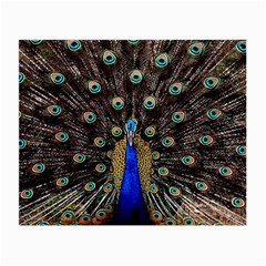 Peacock Small Glasses Cloth (2 Sides) by Ket1n9