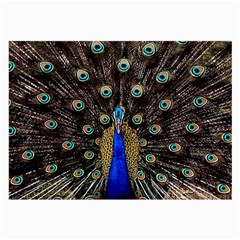 Peacock Large Glasses Cloth (2 Sides) by Ket1n9