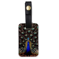 Peacock Luggage Tag (one Side) by Ket1n9