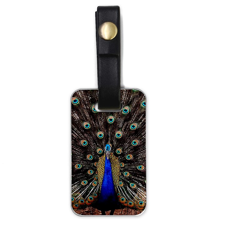 Peacock Luggage Tag (one side)