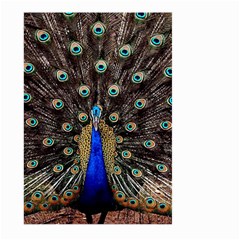 Peacock Large Garden Flag (two Sides) by Ket1n9