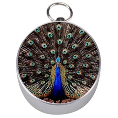 Peacock Silver Compasses by Ket1n9