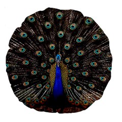 Peacock Large 18  Premium Flano Round Cushions by Ket1n9