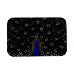 Peacock Open Lid Metal Box (silver)   by Ket1n9