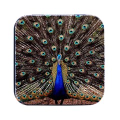 Peacock Square Metal Box (black) by Ket1n9