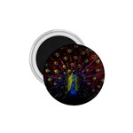 Beautiful Peacock Feather 1.75  Magnets Front