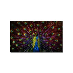 Beautiful Peacock Feather Sticker Rectangular (100 Pack) by Ket1n9