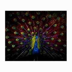 Beautiful Peacock Feather Small Glasses Cloth by Ket1n9