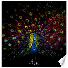 Beautiful Peacock Feather Canvas 16  X 16  by Ket1n9