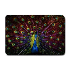 Beautiful Peacock Feather Small Doormat by Ket1n9