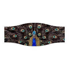 Peacock Stretchable Headband by Ket1n9