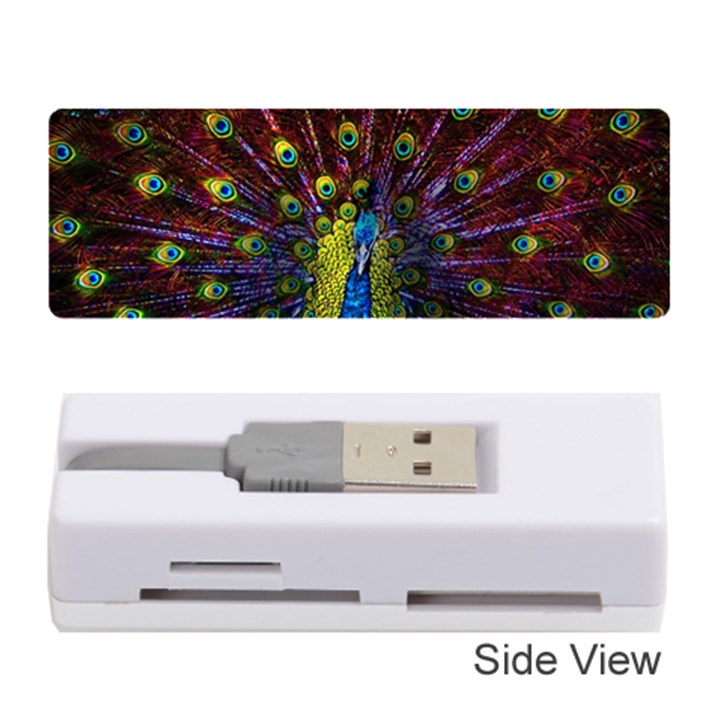 Beautiful Peacock Feather Memory Card Reader (Stick)