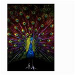 Beautiful Peacock Feather Large Garden Flag (Two Sides) Front