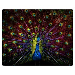 Beautiful Peacock Feather Two Sides Premium Plush Fleece Blanket (medium) by Ket1n9