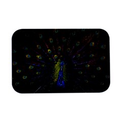 Beautiful Peacock Feather Open Lid Metal Box (silver)  