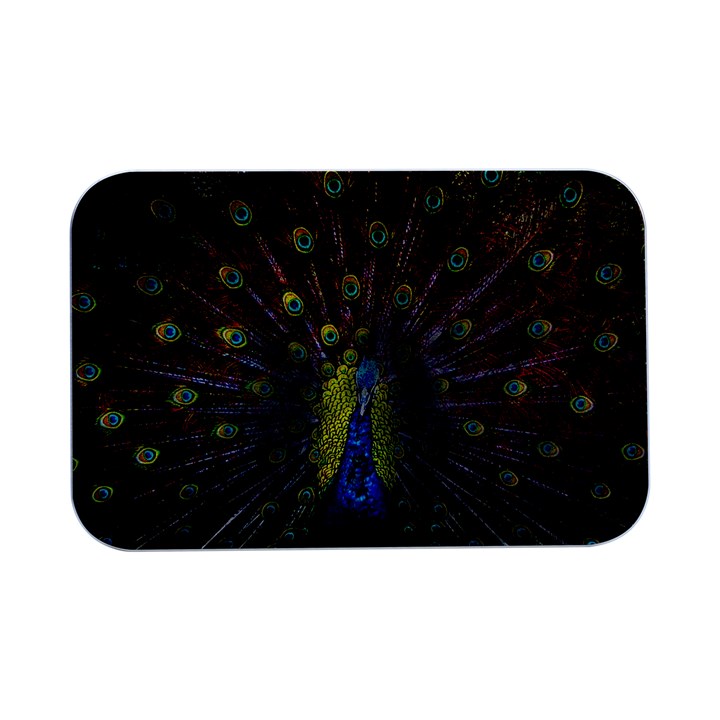 Beautiful Peacock Feather Open Lid Metal Box (Silver)  