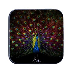 Beautiful Peacock Feather Square Metal Box (black) by Ket1n9