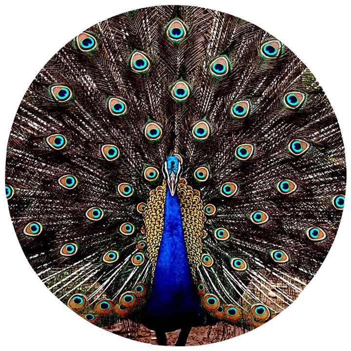 Peacock Wooden Puzzle Round