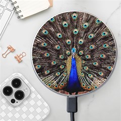 Peacock Wireless Fast Charger(white) by Ket1n9